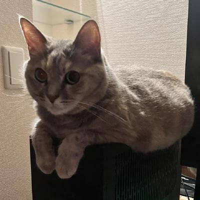 puuu